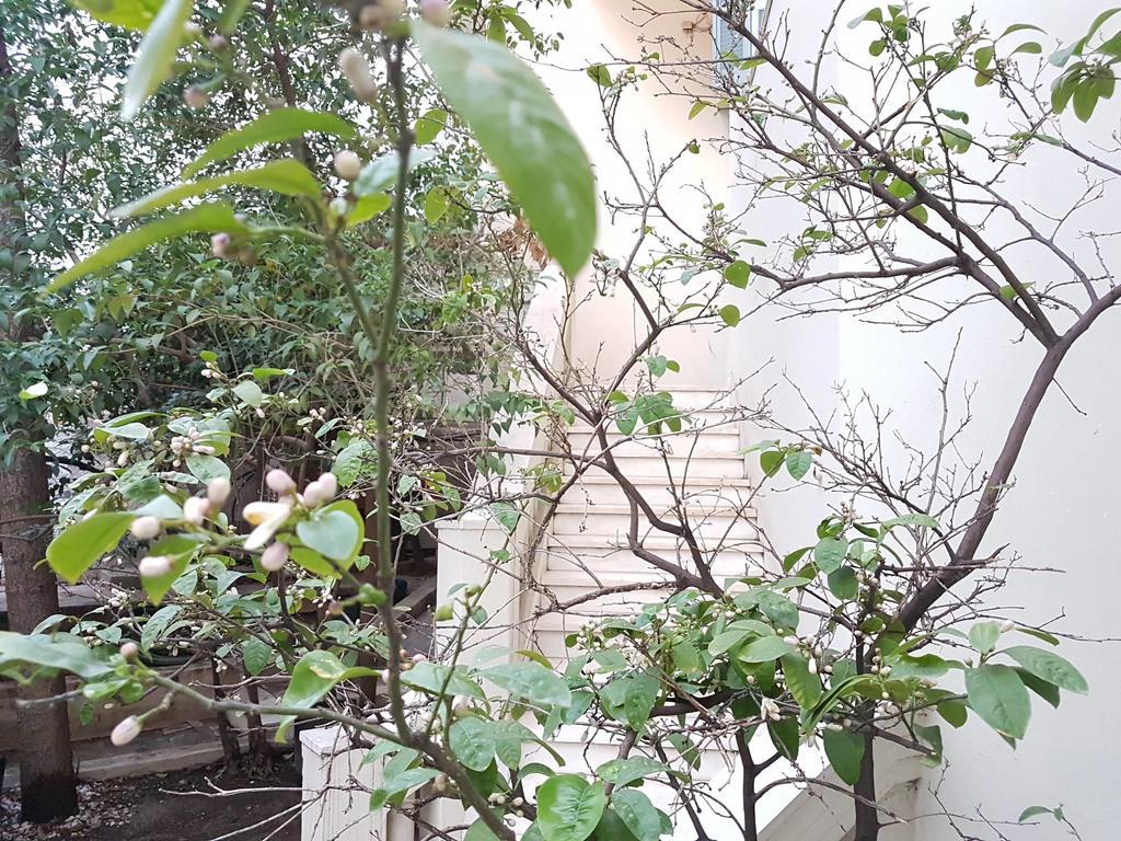 Errathens Aegean Apartment - Athens Center, 5 Bd, 2 Bath Exteriér fotografie